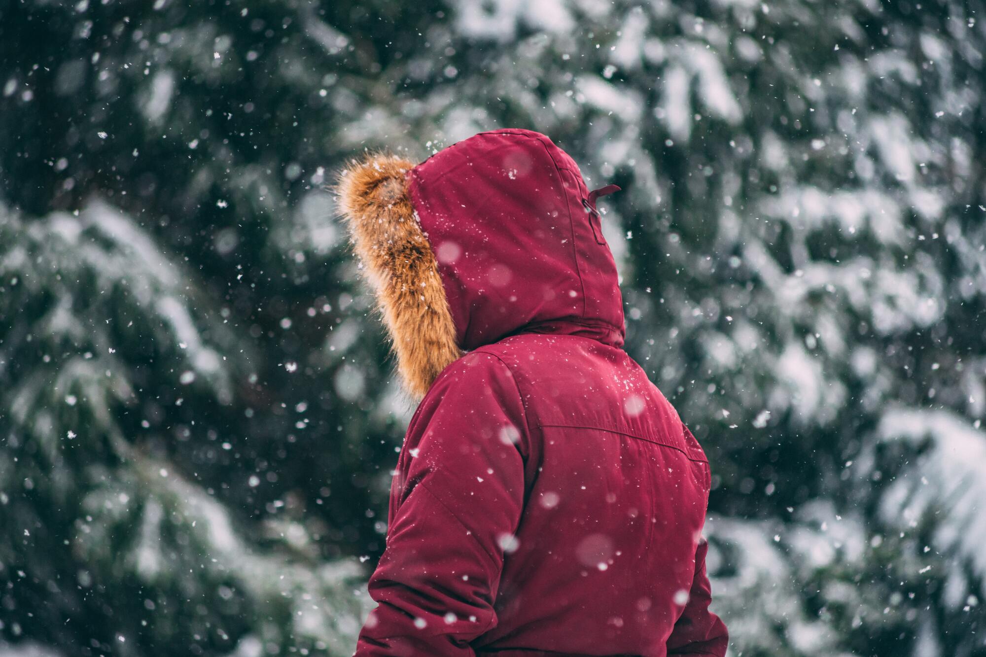 How Can Online Shopping Be Useful When Selecting a Winter Coat? How Can Online Shopping Be Useful When Selecting a Winter Coat